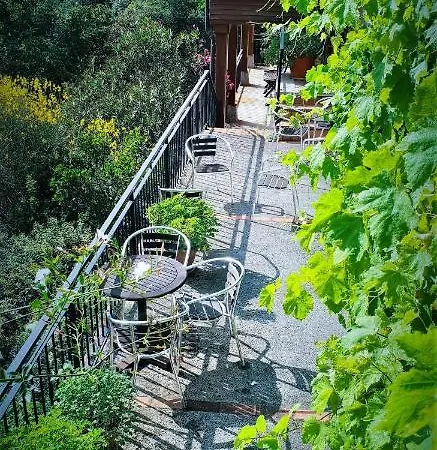 Del Valle Collía