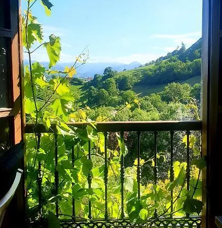 Del Valle Collía