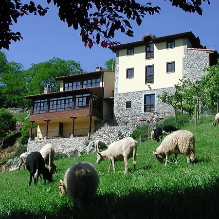 Del Valle 3* Collía