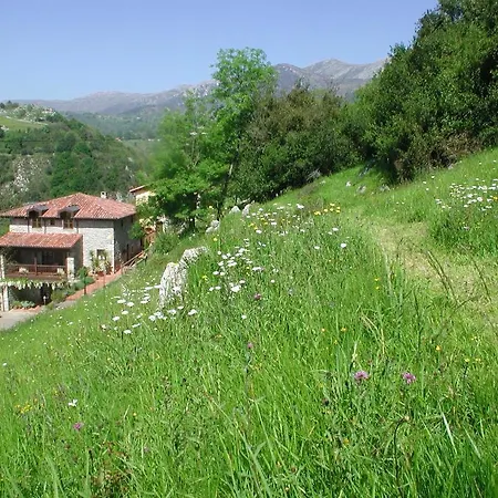 מלון Del Valle